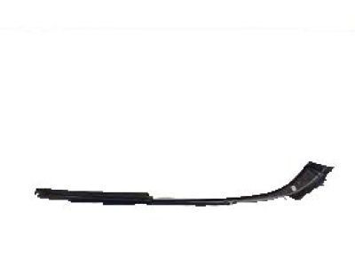 Toyota 75671-06011 Belt Molding