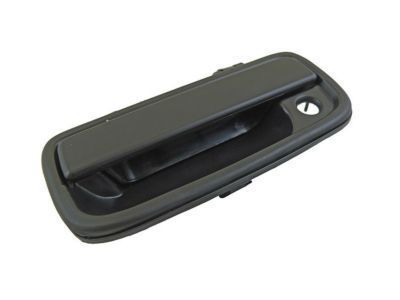 Toyota 69220-35070-C0 Handle, Outside