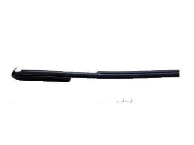 Toyota 75555-20090 Drip Molding