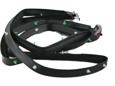 Toyota 68281-60030 Gate Weatherstrip