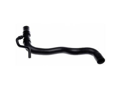 Toyota 16571-28250 Lower Hose