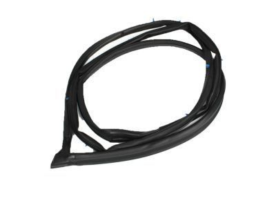 Lexus 67862-60071 Weatherstrip, Front Door, LH