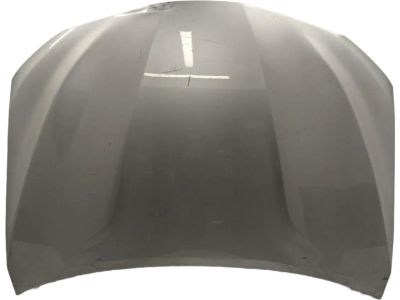 Toyota 53301-06331 Hood