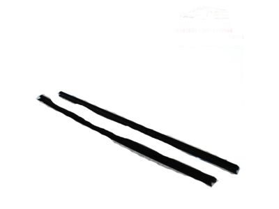 Toyota 68173-0C050 Belt Weatherstrip