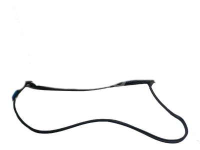 Toyota 67871-06040 Surround Weatherstrip