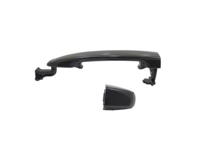 Toyota 69217-AE010 Handle Cover