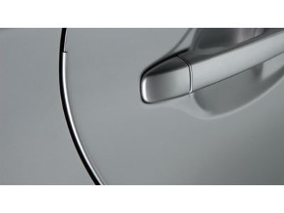 Toyota PT936-42100-14 Edge Guard