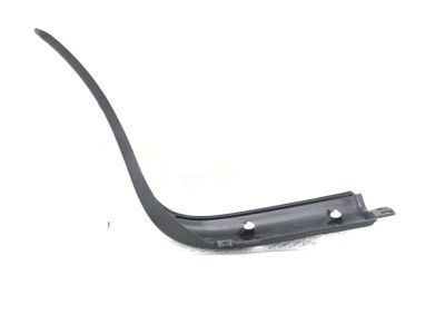 Toyota 75601-19055 Lower Molding