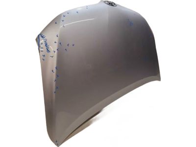 Toyota 53301-0T020 Hood
