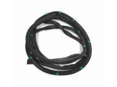 Toyota 67862-AC020 Door Weatherstrip