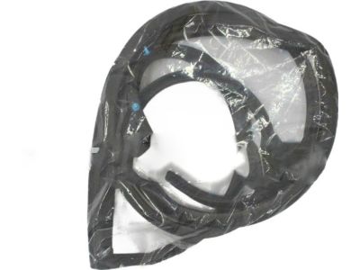 Toyota 67871-12380 Door Weatherstrip