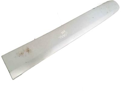 Toyota 75732-42100 Body Side Molding