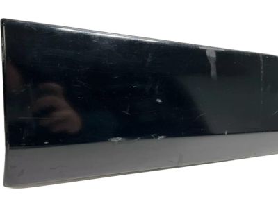 Toyota 75732-42100 Body Side Molding