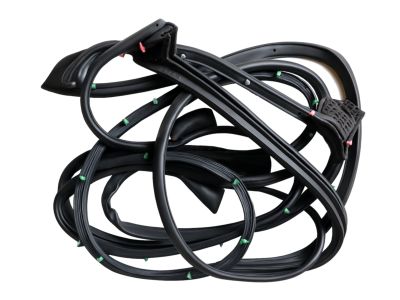 Toyota 67871-48100 Door Weatherstrip