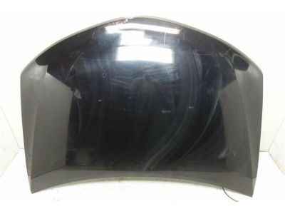 Toyota 53301-06150 Hood