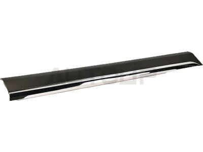 Toyota 75072-0E050 Body Side Molding