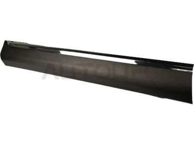 Toyota 75072-0E050 Body Side Molding