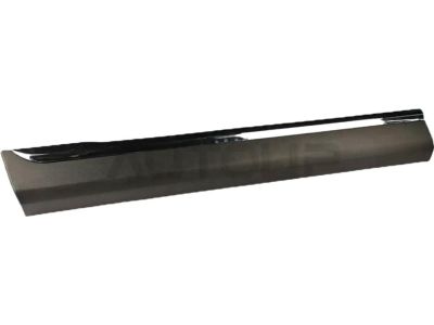 Toyota 75072-0E050 Body Side Molding