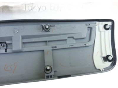Toyota 75075-60120-C0 Body Side Molding