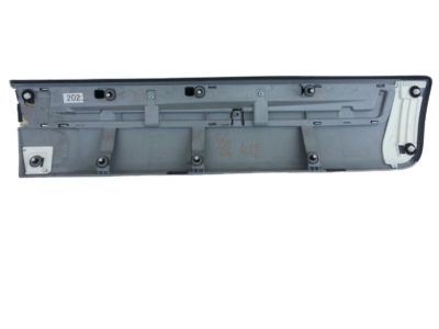 Toyota 75075-60120-C0 Body Side Molding