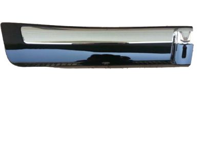 Toyota 75075-60120-C0 Body Side Molding