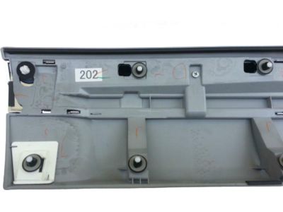 Toyota 75075-60120-C0 Body Side Molding