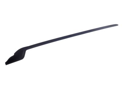 Toyota 75535-10050 Side Molding