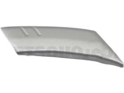 Toyota 75744-60010-B0 Body Side Molding