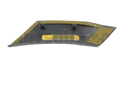 Toyota 75744-60010-B0 Body Side Molding
