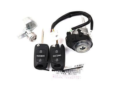 Toyota 69051-35040 Cylinder & Key Set, Door Lock, RH