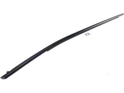 Toyota 75710-0R050 Belt Molding