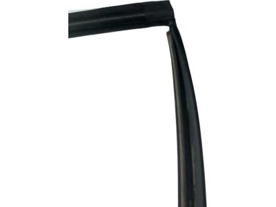 Toyota 68142-0C010 Run Channel