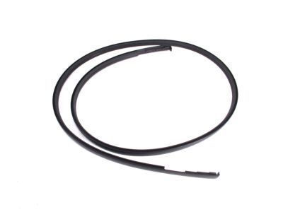 Toyota 75551-52170 Drip Molding