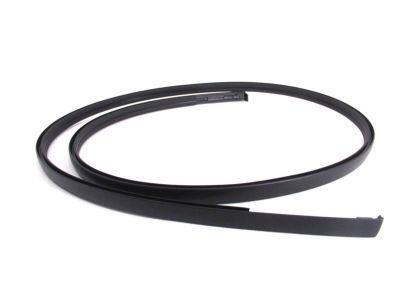 Toyota 75551-52170 Drip Molding