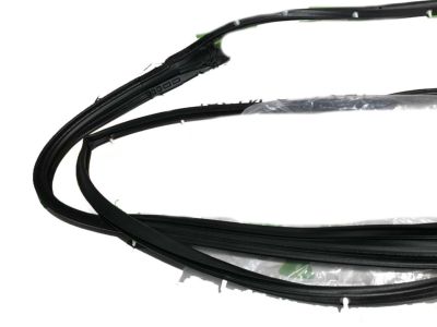 Toyota 67862-06150 Surround Weatherstrip