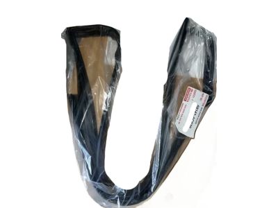 Toyota 68141-AC020 Run Channel