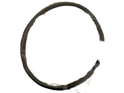 Toyota 77169-48070 Check Valve Gasket