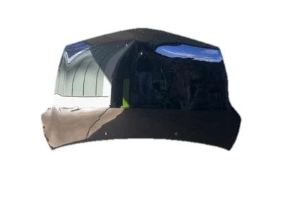 Toyota 53301-47040 Hood