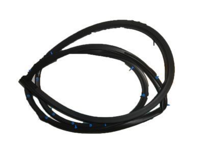 Toyota 67862-33041 Door Weatherstrip