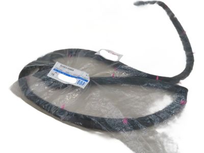 Toyota SU003-05804 Lower Weatherstrip