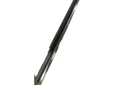 Toyota 75711-35021 Belt Molding