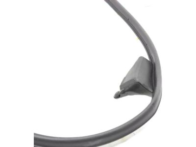 Toyota 67861-0R050 Door Weatherstrip