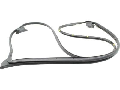 Toyota 67861-0R050 Door Weatherstrip