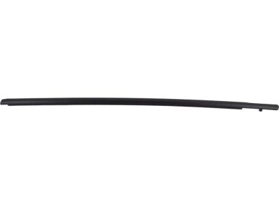 Toyota 75720-47040 Belt Molding