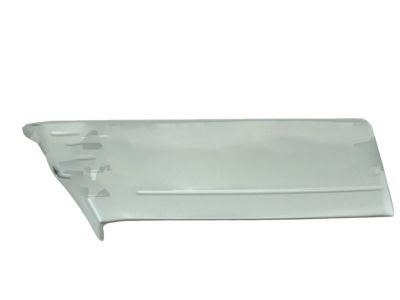 Toyota 75612-60120-E1 Body Side Molding