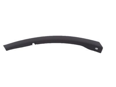 Toyota 52113-0R030 Molding Extension