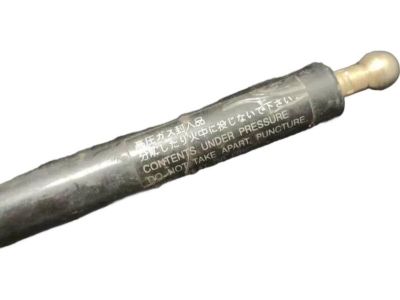 Toyota 68950-0R060 Lift Cylinder