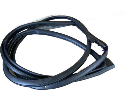 Toyota 67871-02310 Door Weatherstrip