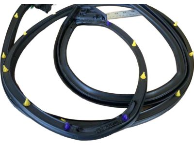 Toyota 67871-02310 Door Weatherstrip