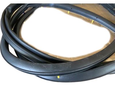 Toyota 67871-02310 Door Weatherstrip